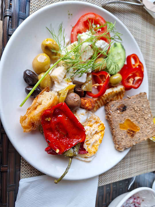 Gastro Paloma Oceana