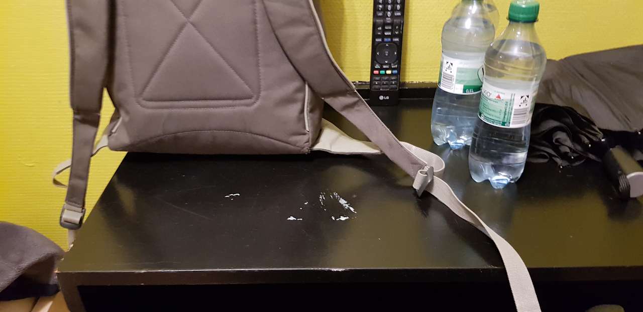 Zimmer SMARTY Cologne City Center Hotel | Hostel | Boardinghouse