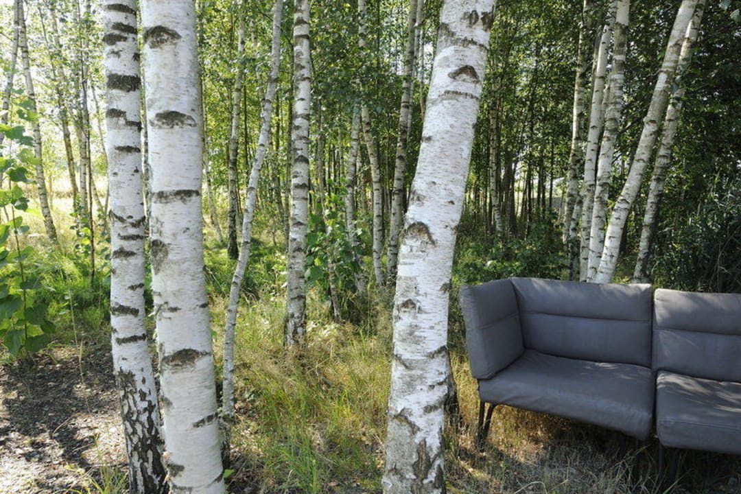 Haus am See Hofgut Hafnerleiten