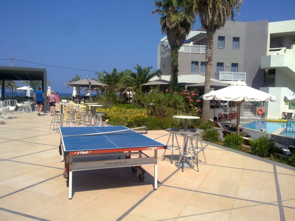 Tischtennisplatte Pearl Beach