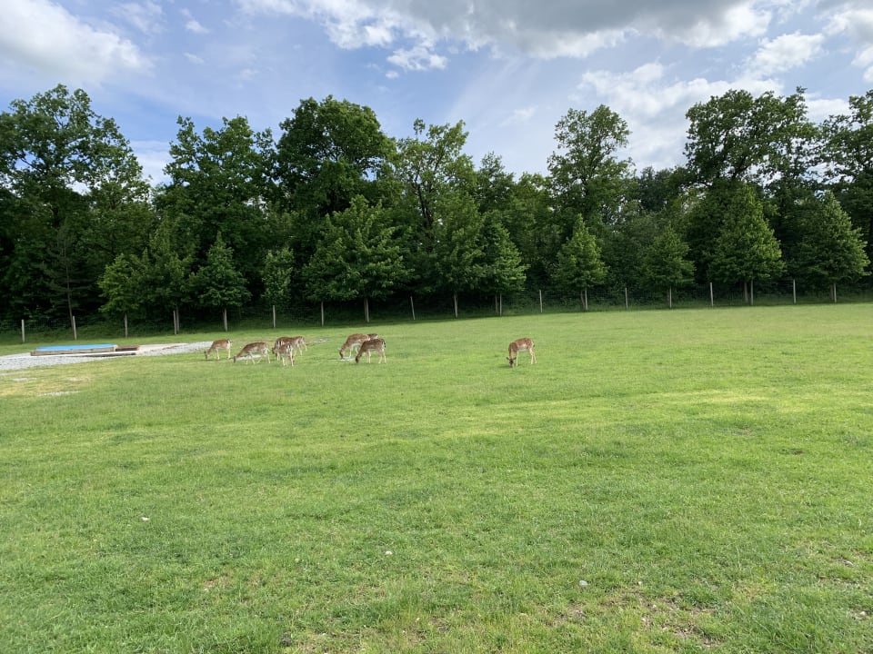 Außenansicht Hotel Hofgut Tiergarten