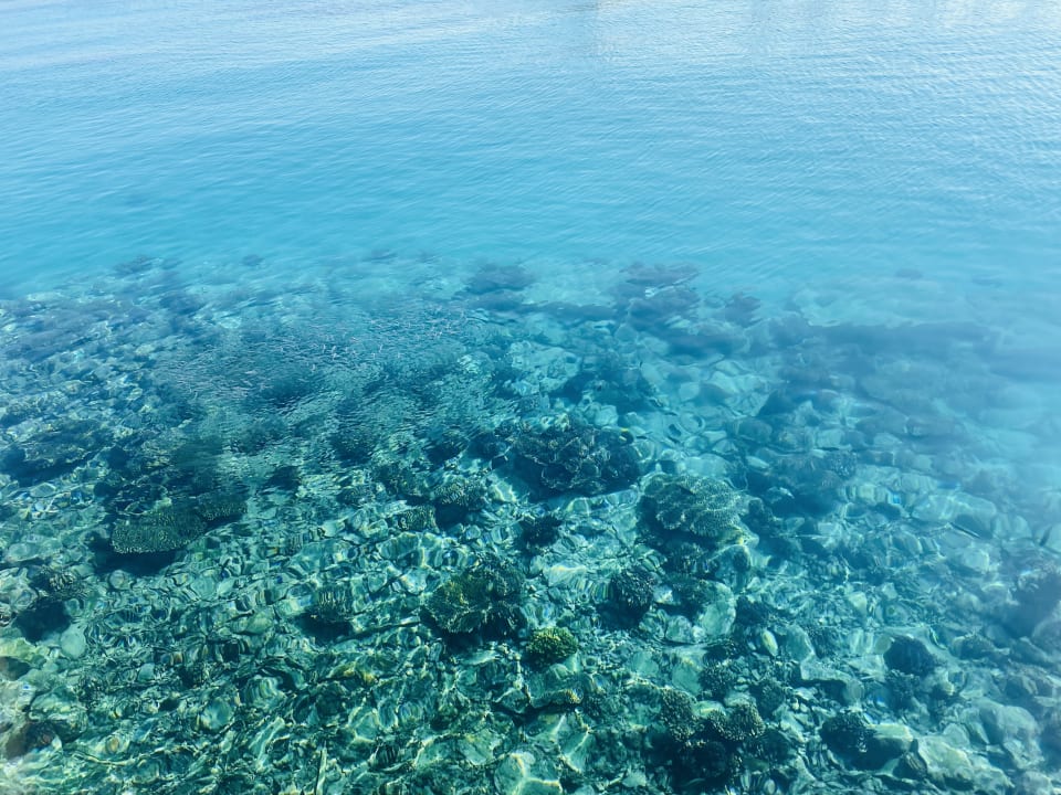 Strand Pickalbatros Citadel Resort