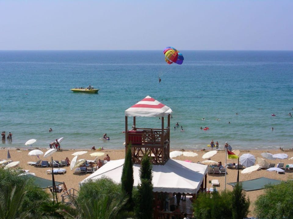 Strand AQI Pegasos Royal