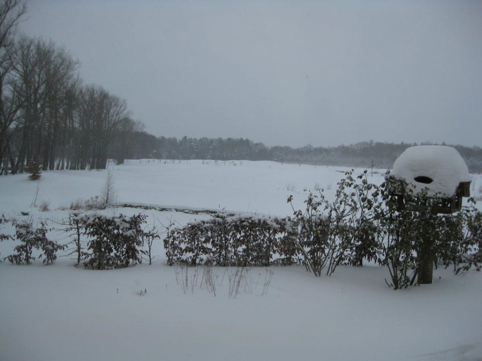 Blick von der Terrasse Best Western Premier Castanea Resort Hotel