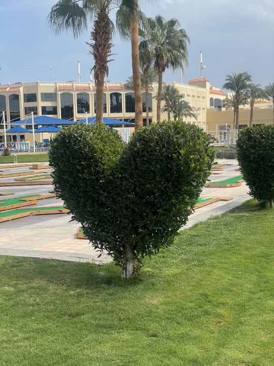 Gartenanlage Beach Albatros Resort