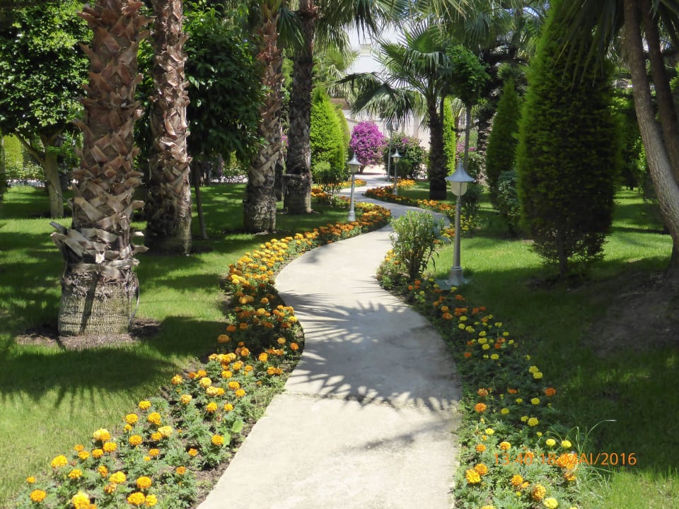 Garten Hotel Delphin Diva