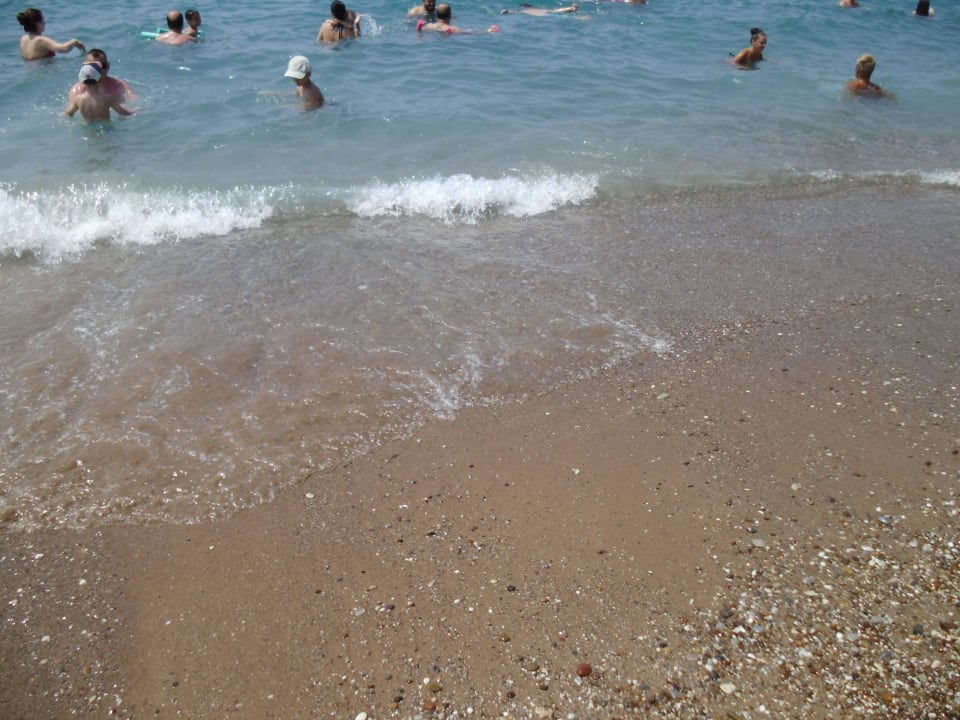 Strand  Asteria Collection Side