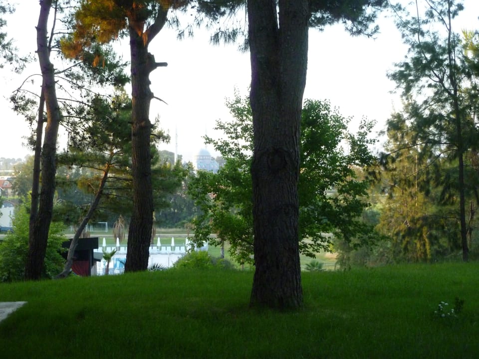 Ausblick vom Balkon Club Sidelya Hotel