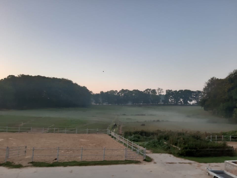 Ausblick Ferien & Pferdehof Gut Klein Nienhagen