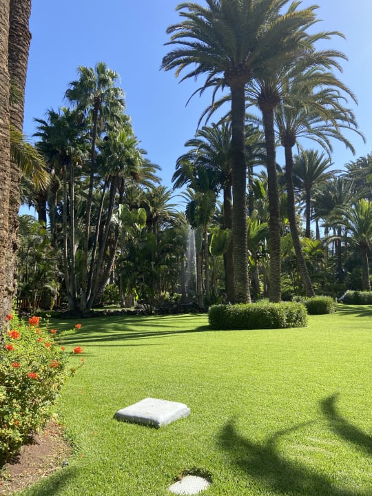 Gartenanlage Hotel Riu Palace Oasis
