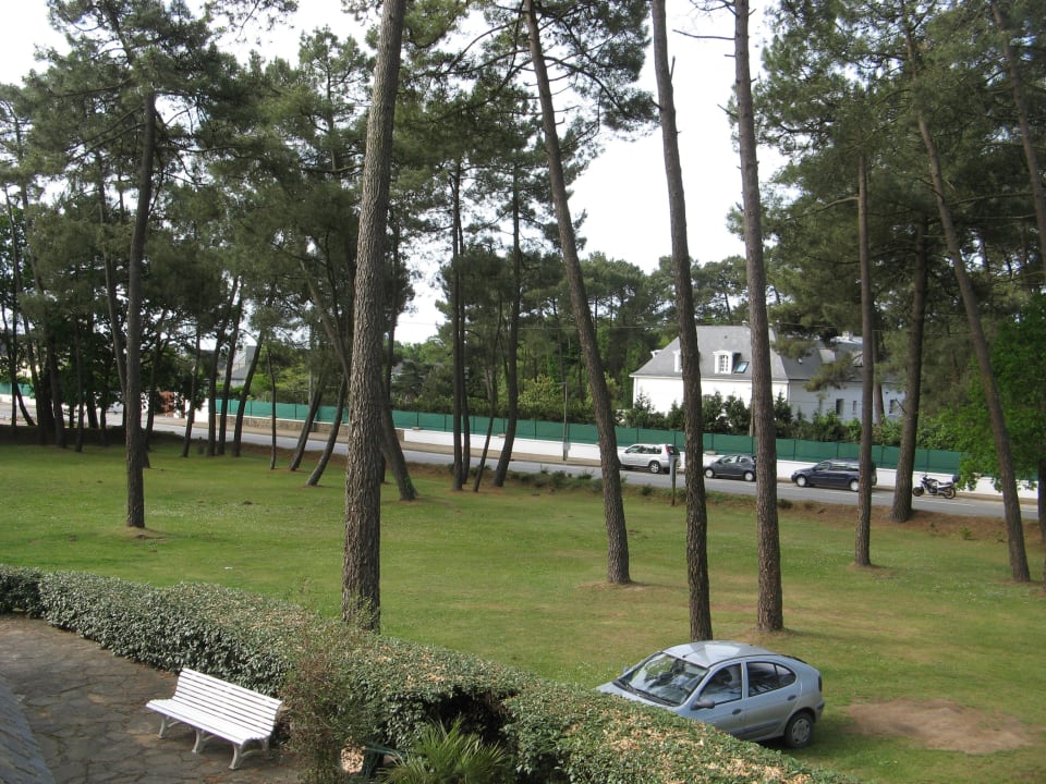 Fensterausblick auf den Hotelgarten Hotel Auberge Du Sous-Bois
