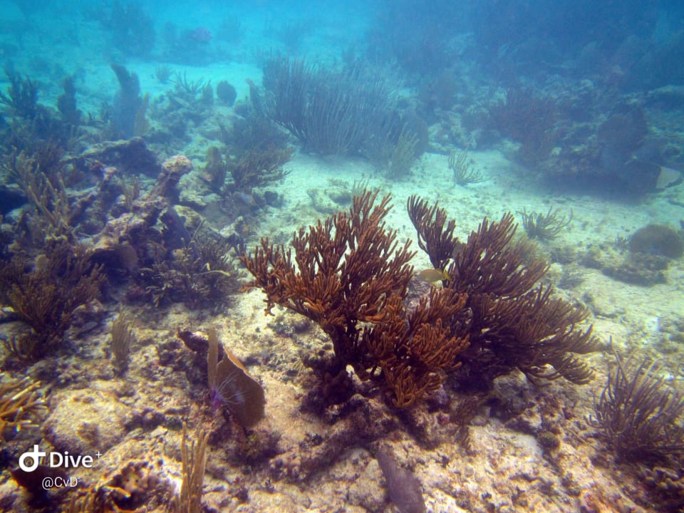 Sport & Freizeit Akumal Bay Beach & Wellness Resort