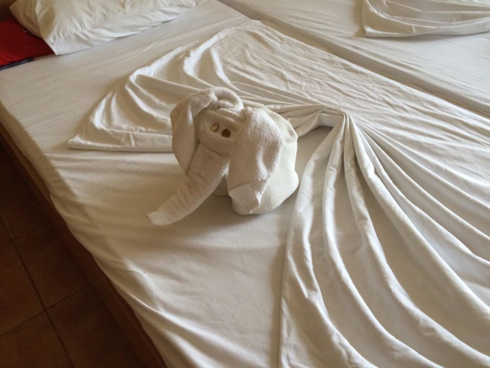 Elefant  Hotel Erma