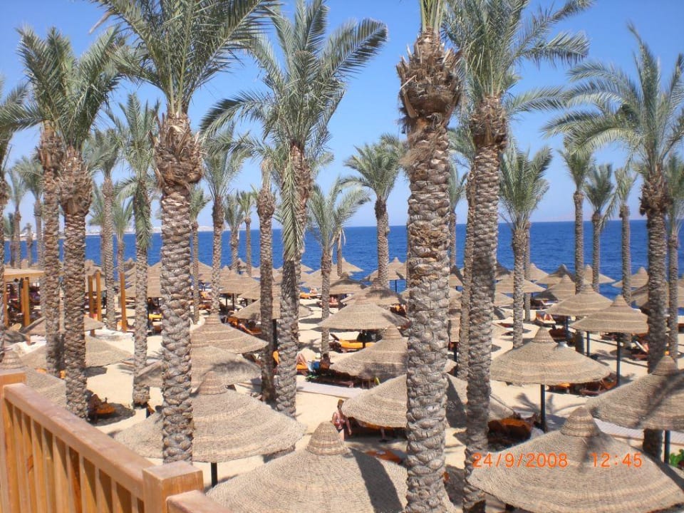 Strand The Grand Hotel Sharm El Sheikh