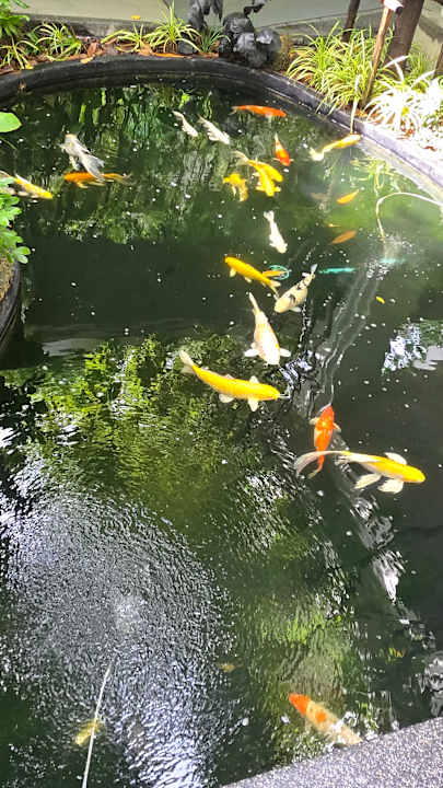 Lobby The Quarter Chaophraya by UHG