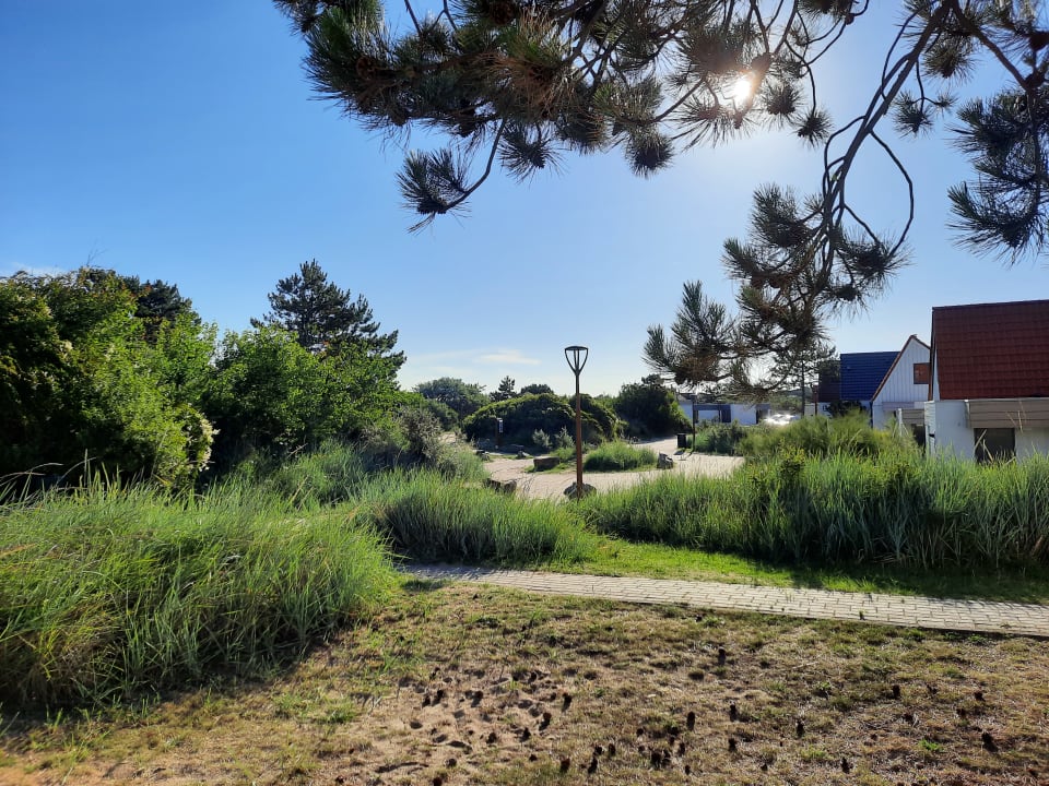 Gartenanlage Center Parcs Park Zandvoort - Ferienhäuser