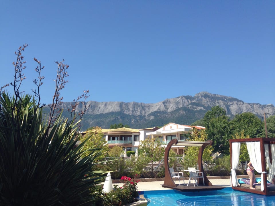 Ausblick Alexandra Golden Boutique - Adults only