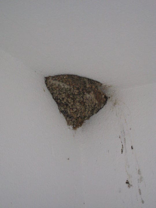 Balkon - altes Bienennest Hotel Pine Bay Holiday Resort