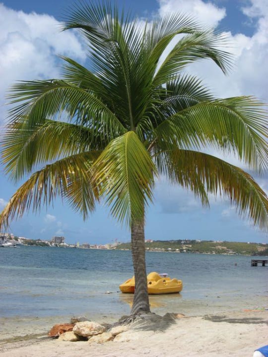 Vu du lagon Hotel Le Flamboyant