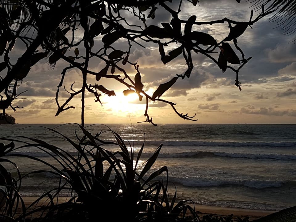 Strand Sunprime Kamala Beach