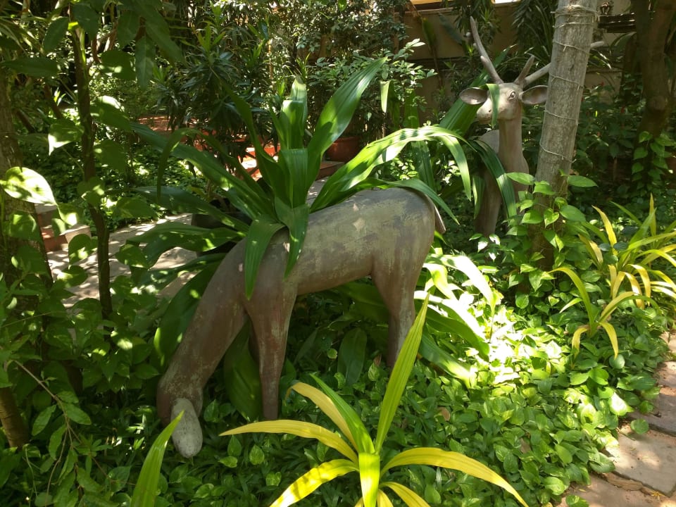 Garden Rooms - lots of lizards Prince D'Angkor Hotel & Spa