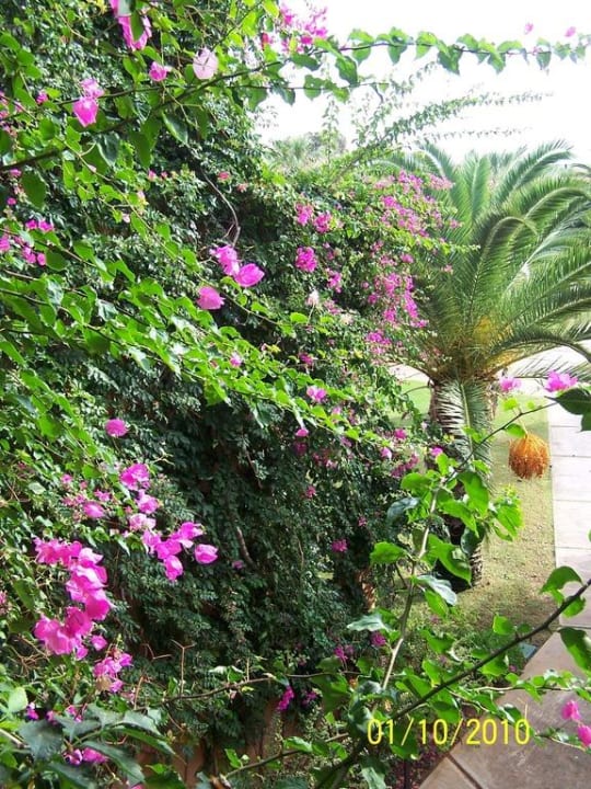 Flora Anissa Beach & Village