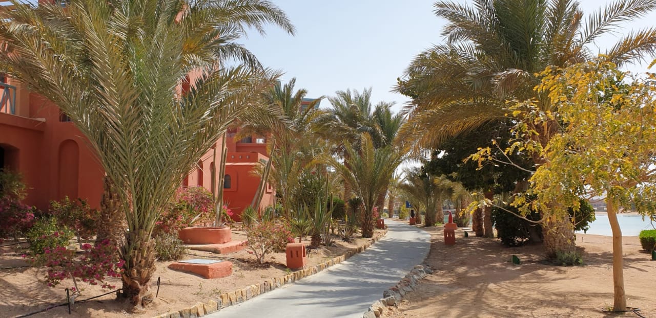 Außenansicht Sheraton Miramar Resort El Gouna