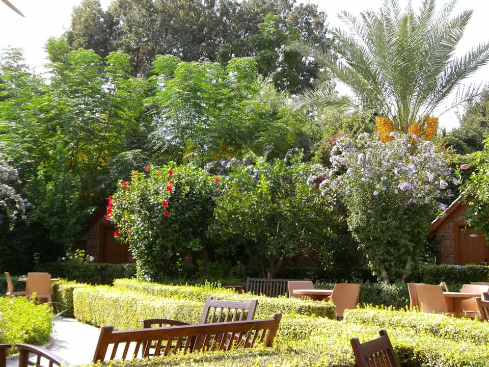 Kleopatra Bar Can Garden Beach