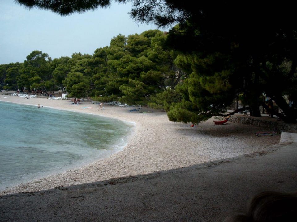 der Strand Bluesun Hotel Maestral
