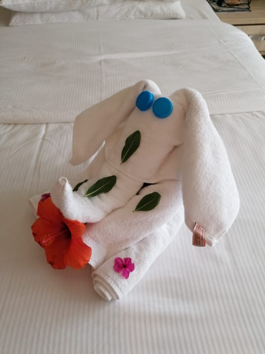 Zimmer Amarina Abu Soma Resort & Aquapark