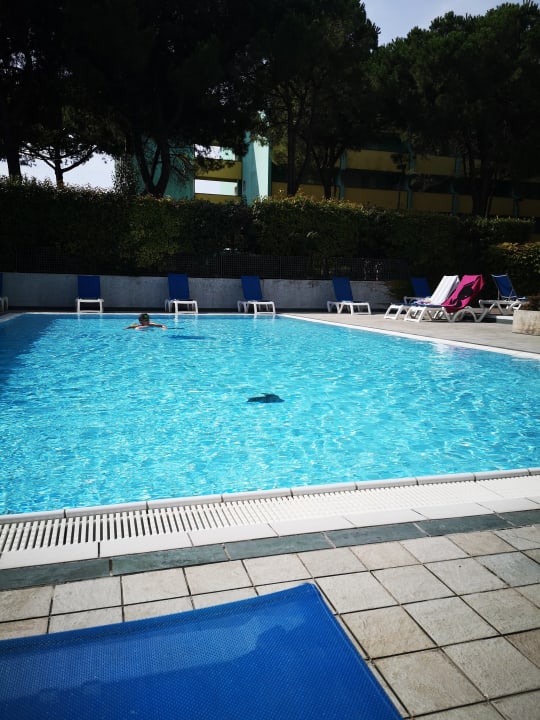 Pool Residence De La Mariute