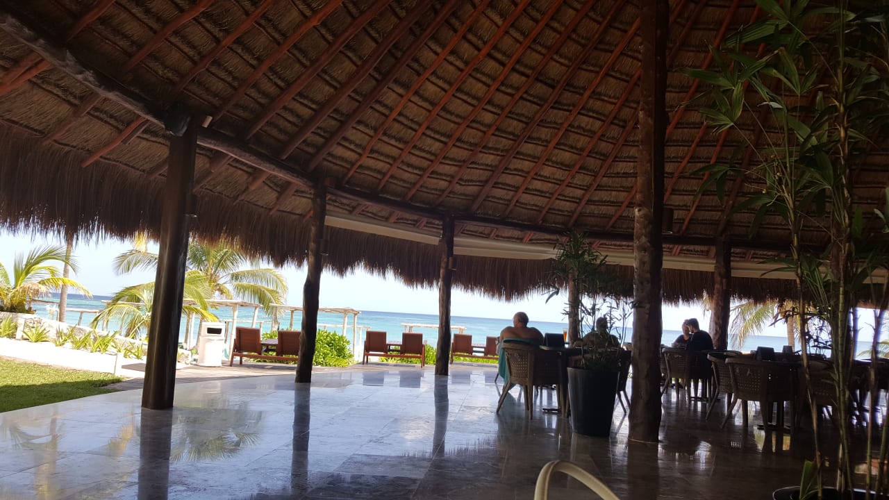 Lobby Akumal Bay Beach & Wellness Resort