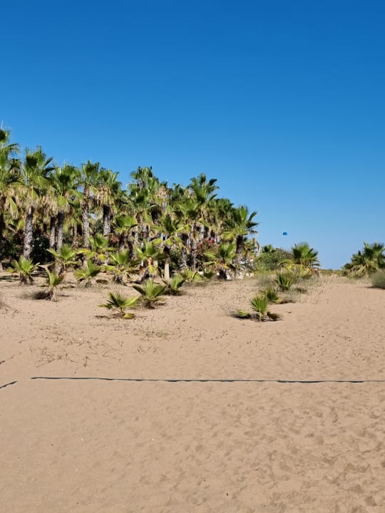 Strand Club Grand Aqua