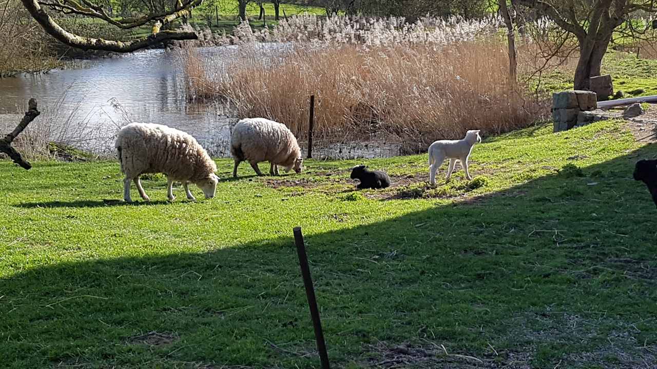 Ausblick Ferienhof Albert