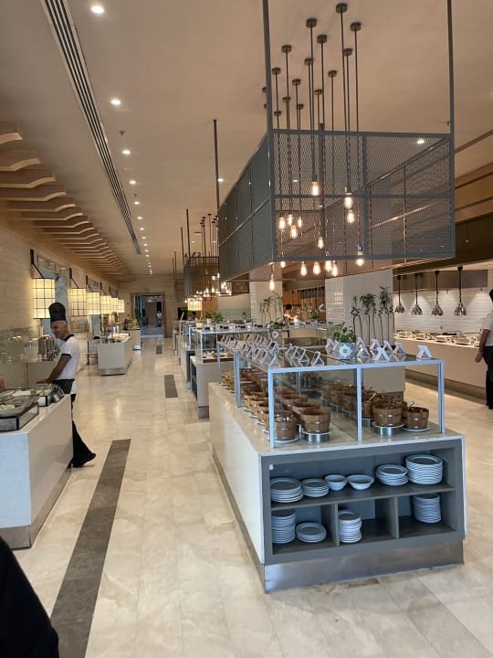 Gastro Acanthus Cennet Barut Collection