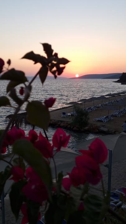 Strand La Blanche Island Bodrum