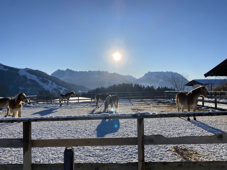 Sport & Freizeit Wohlfühlresort Peternhof
