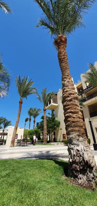 Gartenanlage Steigenberger Aqua Magic