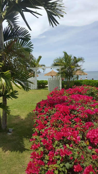 Gartenanlage Sunset Beach Resort, Spa & Waterpark