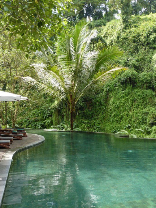 Pool am Fluß Maya Ubud Resort & Spa Bali