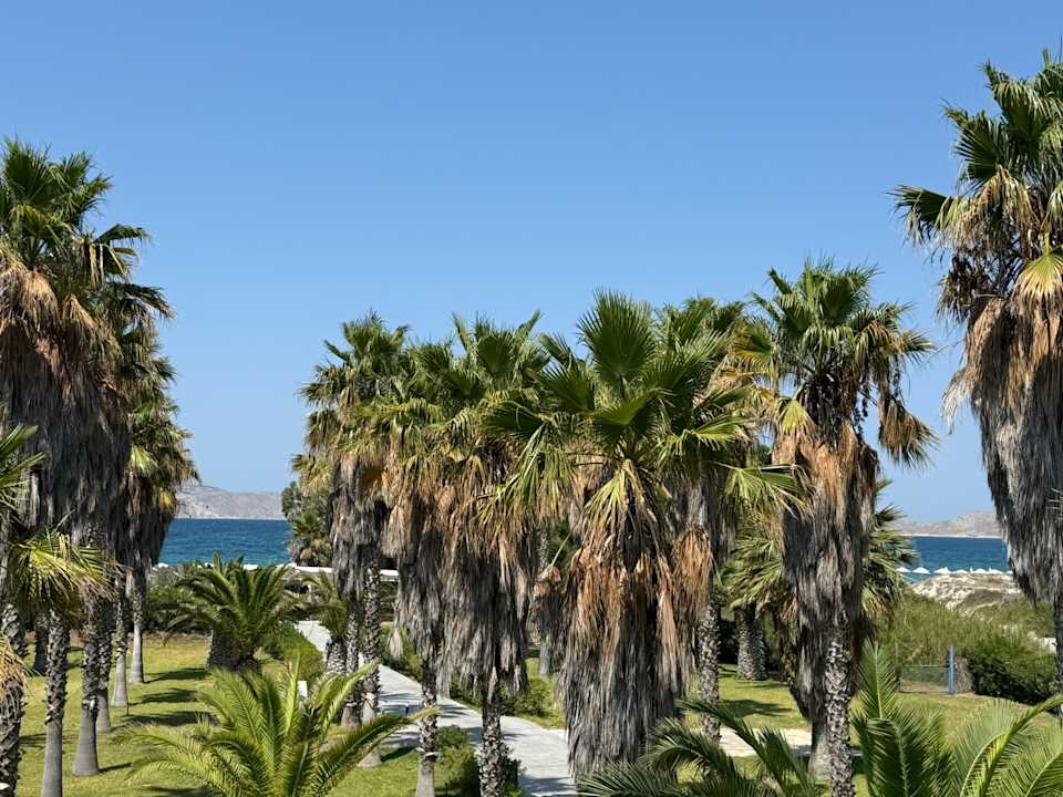 Ausblick Hotel Cavo D'oro