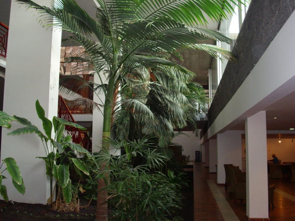 Lese- und Internetbereich Hotel Costa Calero