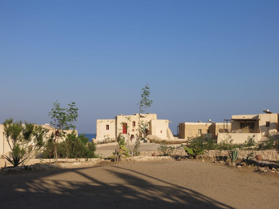 "Unser" Chalet über das Gelände betrachtet The Oasis Dive Resort