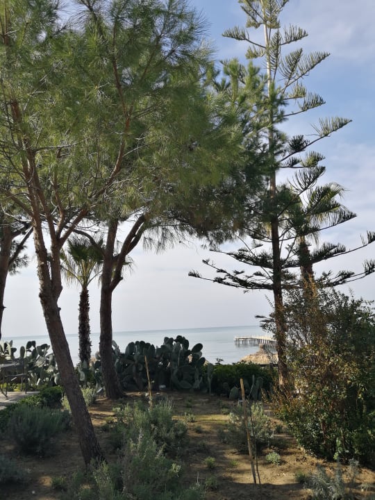 Gartenanlage PALOMA Perissia