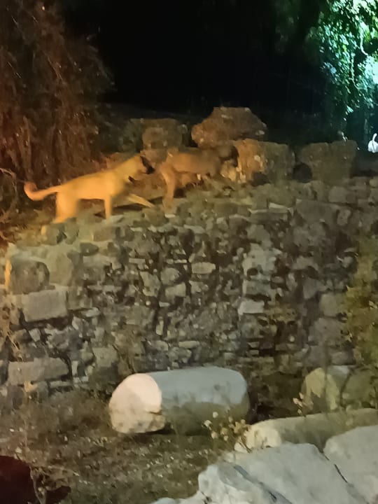 Außenansicht Can Garden Beach