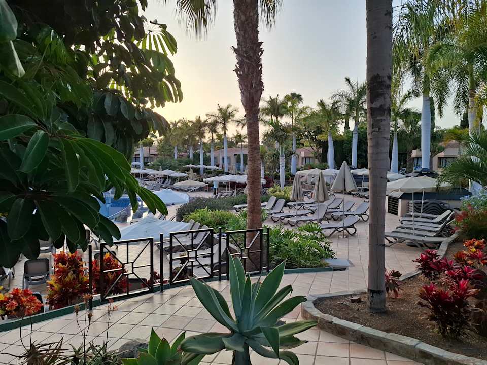 Pool allsun Hotel Esplendido