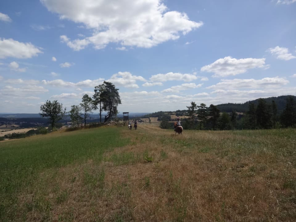 Garten Haflingerhof Doll - Urlaub auf dem Bauernhof