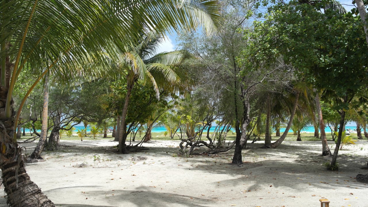 Strand Meeru Maldives Resort Island