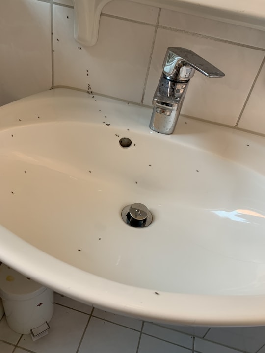 Zimmer Hotel Würzburger Hof