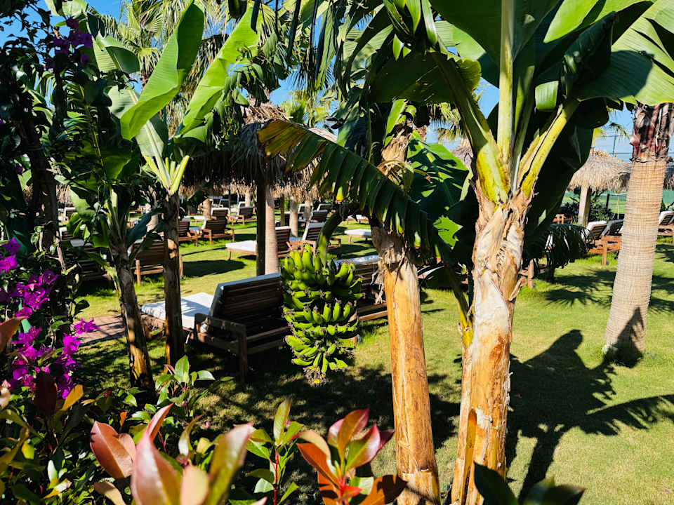 Gartenanlage Rubi Platinum Sign